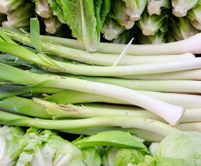 Цілющі властивості і протипоказання цибулі-порею