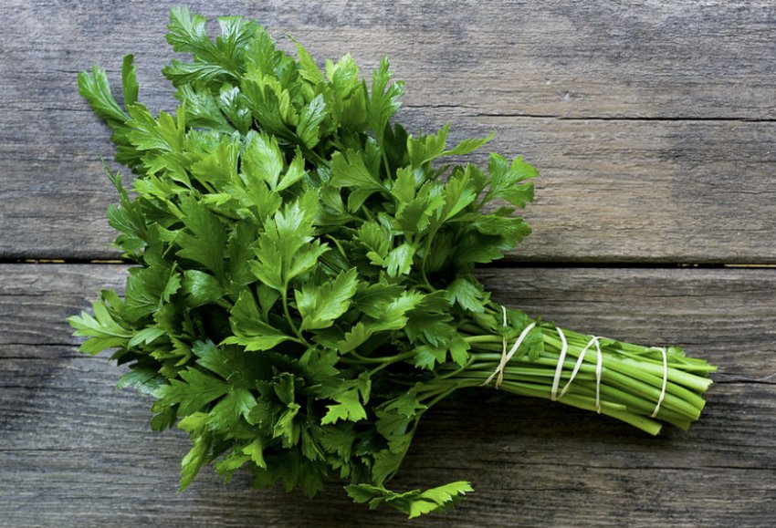 Петрушка Петрушка