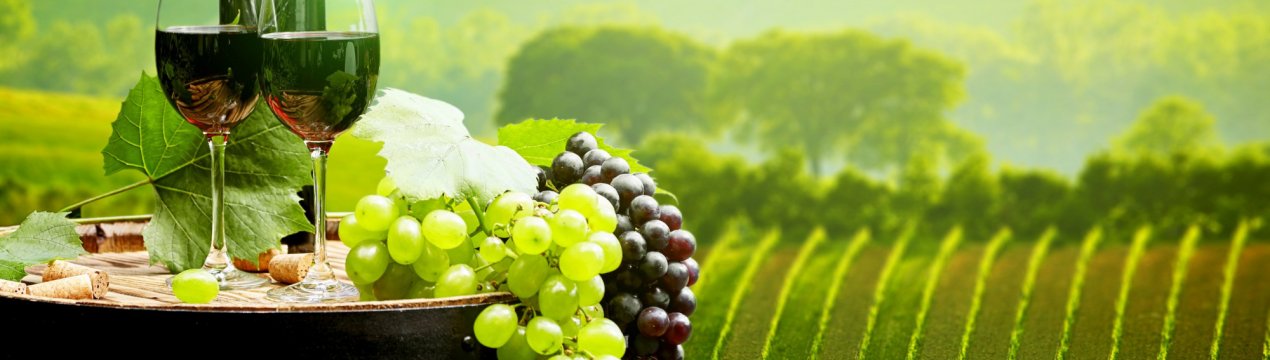 Прощай, мито! Росія скасувала податок на молдавські делікатеси