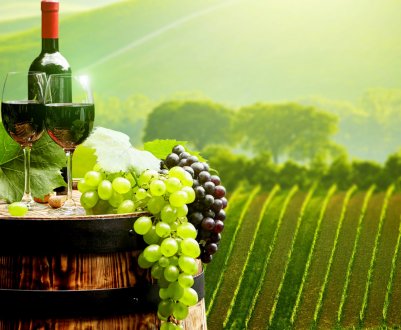 Прощай, мито! Росія скасувала податок на молдавські делікатеси