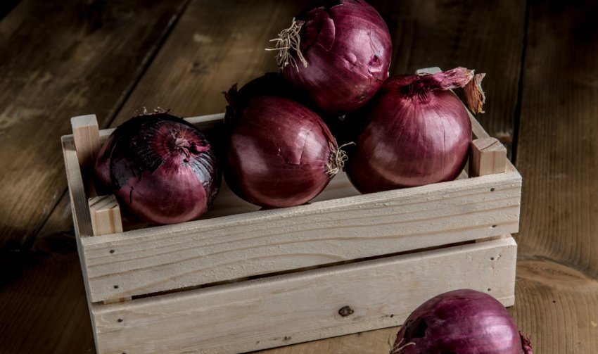 Даниловський