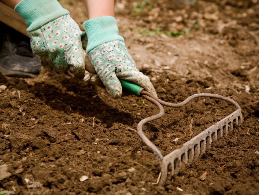 Розпушування грунту