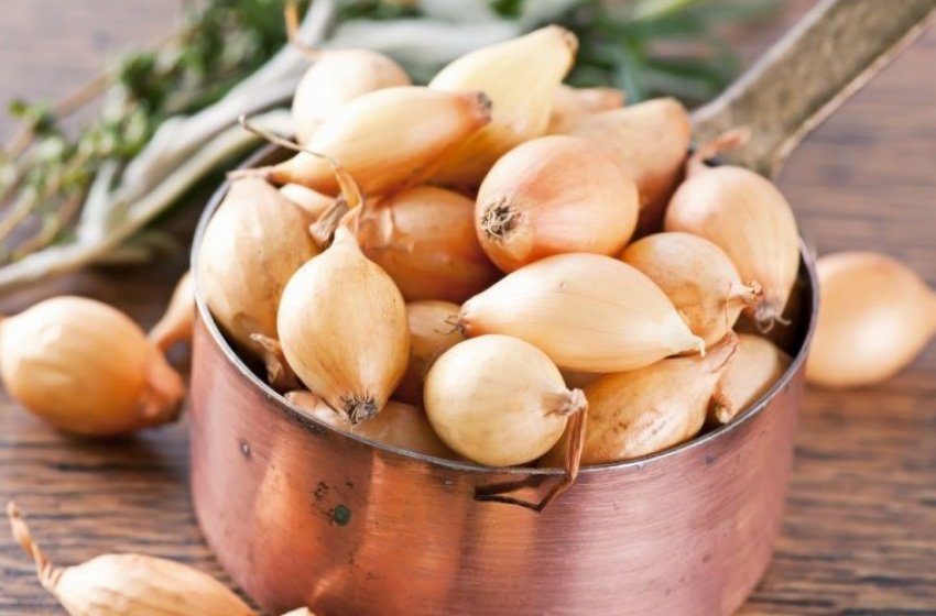 Цибулю Бамбергер