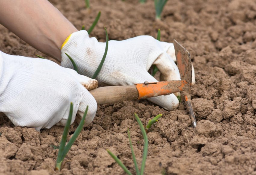 Розпушування грунту