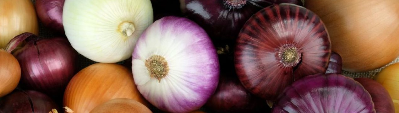 Як правильно зберігати цибулю взимку в домашніх умовах