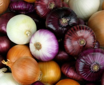 Як правильно зберігати цибулю взимку в домашніх умовах