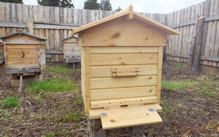 Використання вулики на пасіці