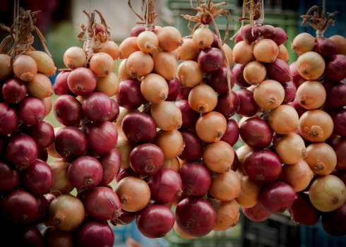 Как лучше всего хранить лук зимой в домашних условиях