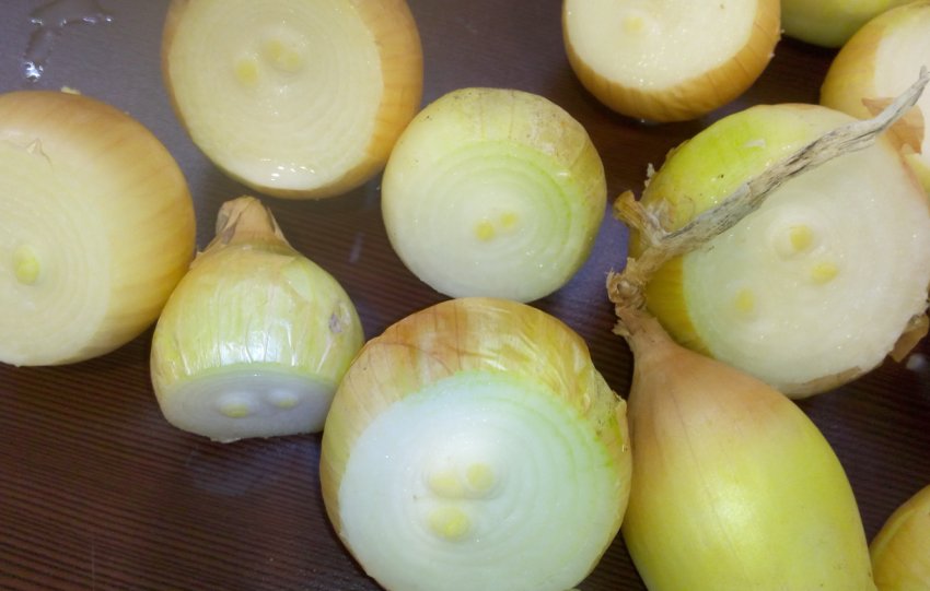 Каратальский