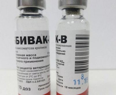 Як розводити і застосовувати вакцину Раббівак V для кроликів