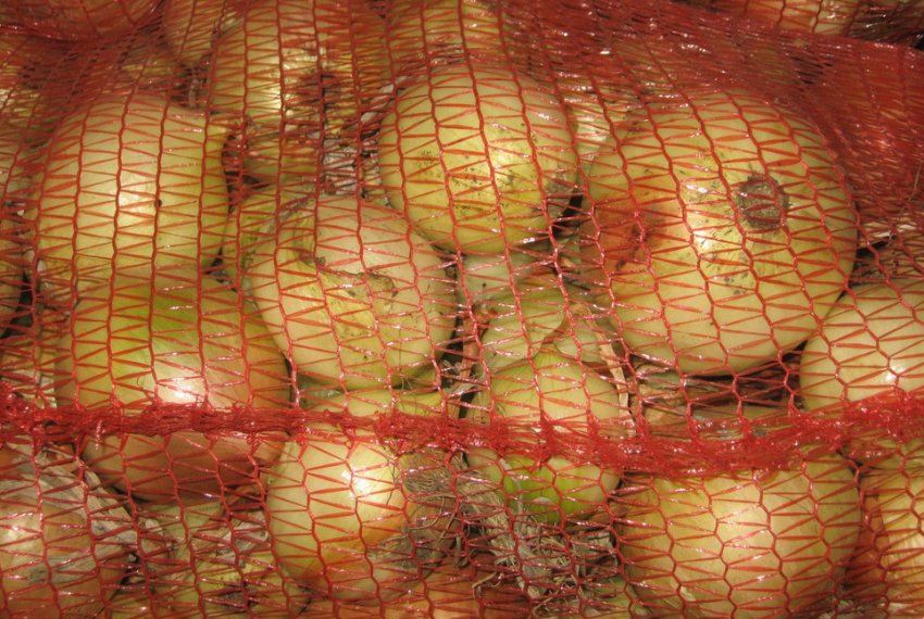 Зберігання цибулі в сітці