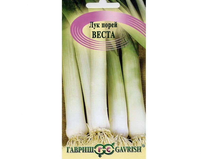 Веста Веста