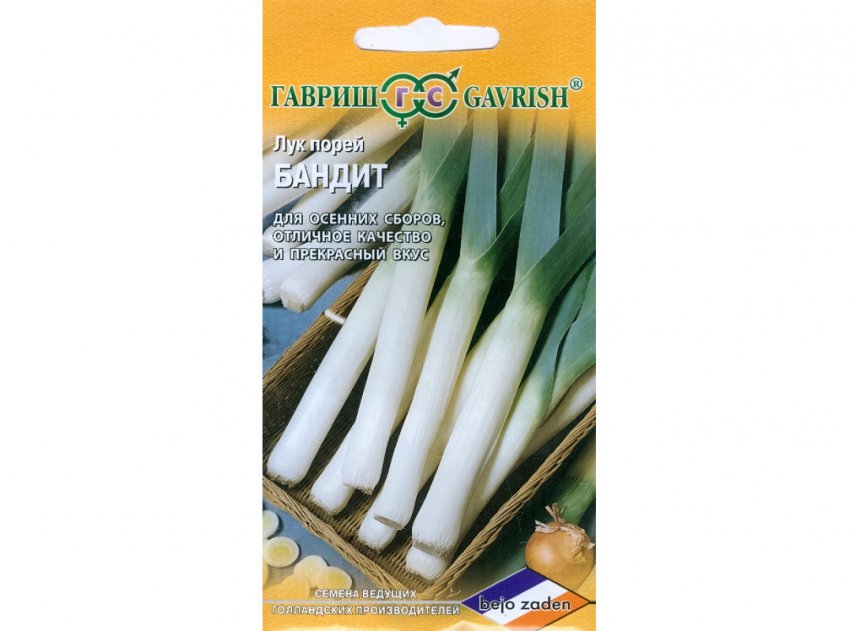 Бандит Бандит