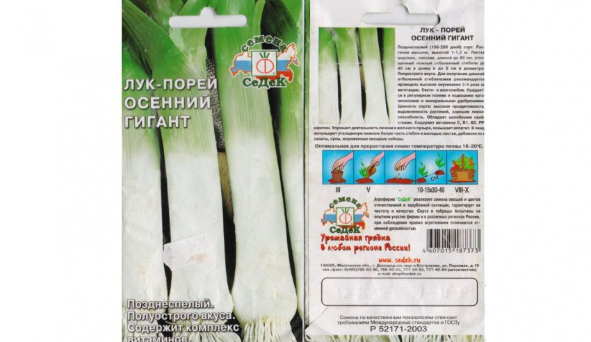 Осінній гігант Осінній гігант