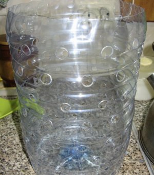 Лук Выращивание на подоконнике в пластиковой бутылке