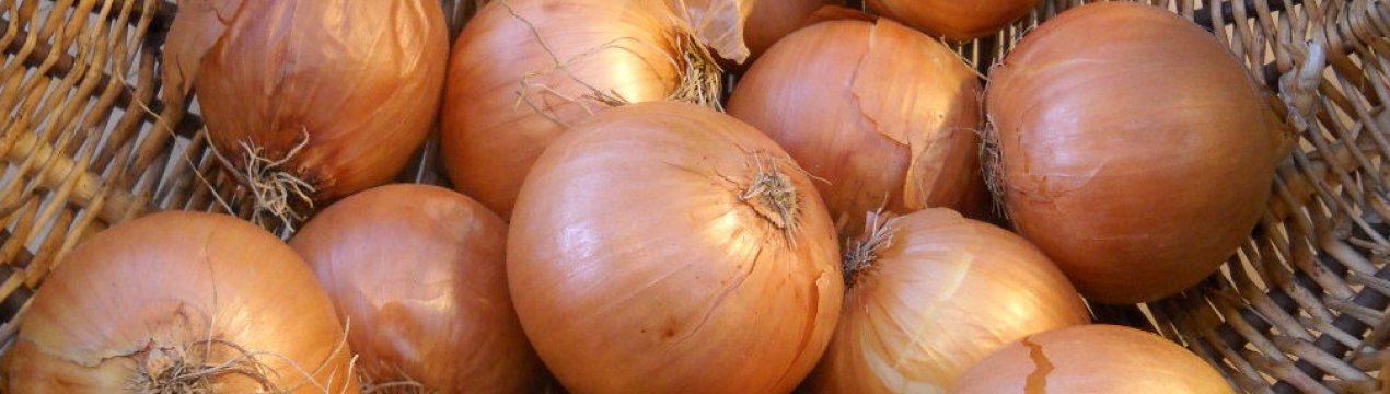 Чи можна вживати цибулю при гастриті з підвищеною кислотністю?