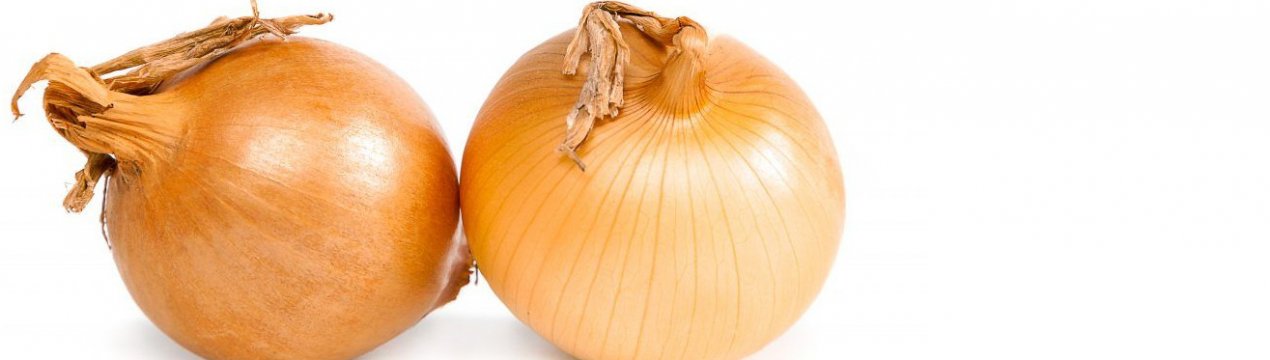 Особливості посадки і вирощування цибулі Центуріон