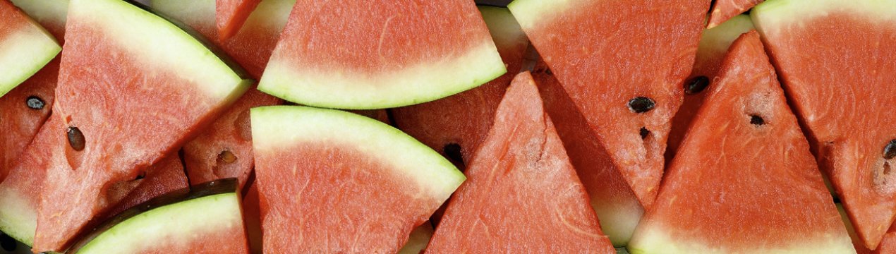 Кавун Продюсер: опис, характеристика і врожайність сорту