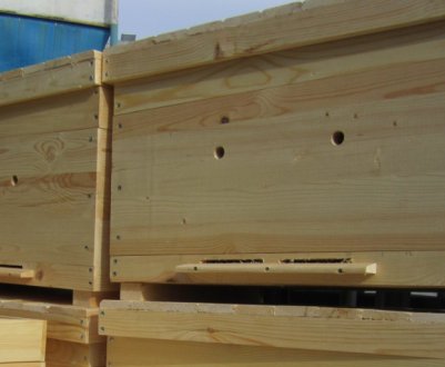 Опис і характеристика 12 рамкового вулика