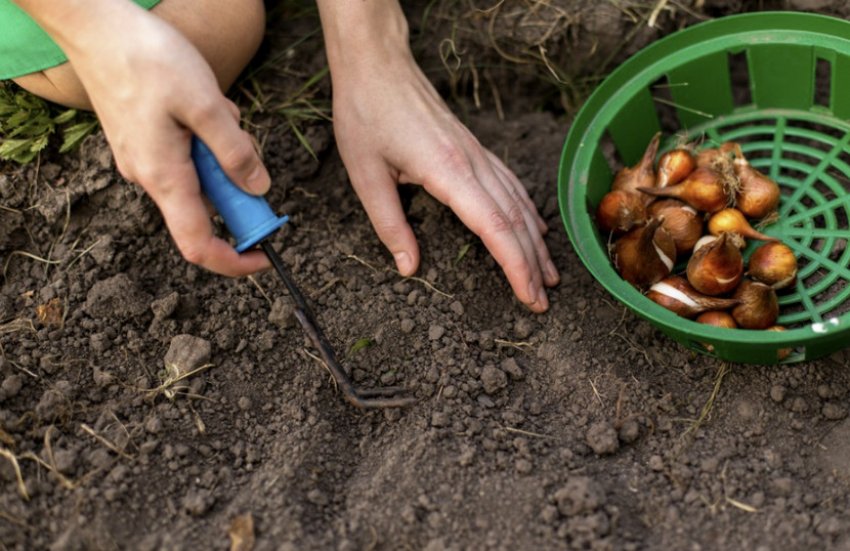 Підготовка грунту