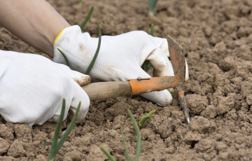 Розпушування грунту