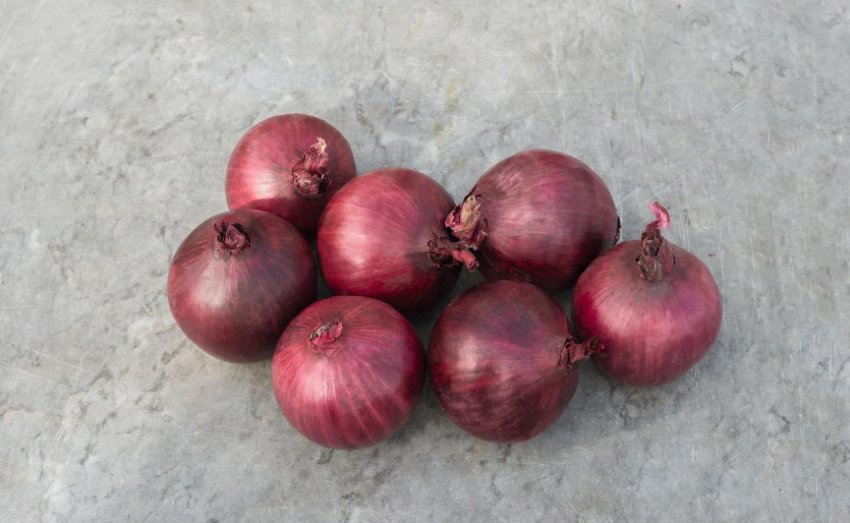 Цибулю Робін