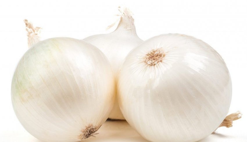 Цибулю Музона