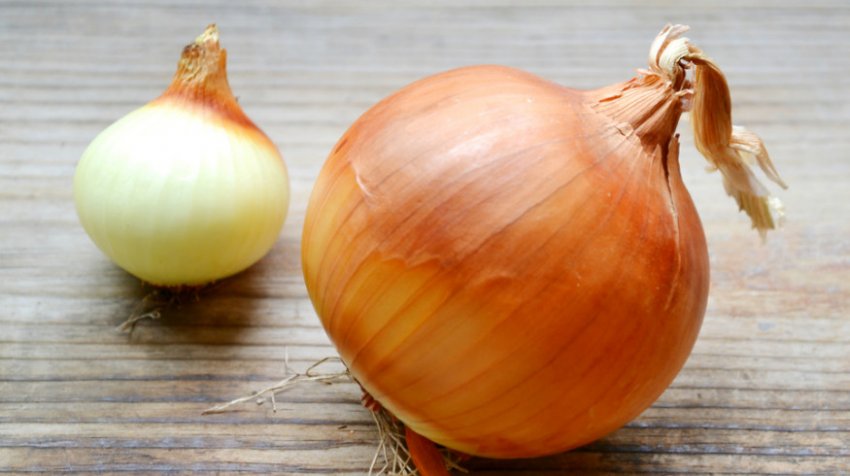 Цибулю Буран