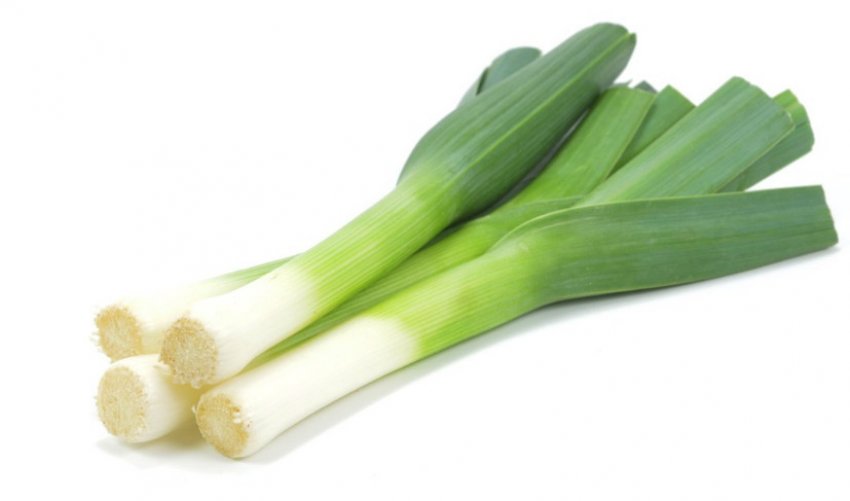 Цибуля Порей