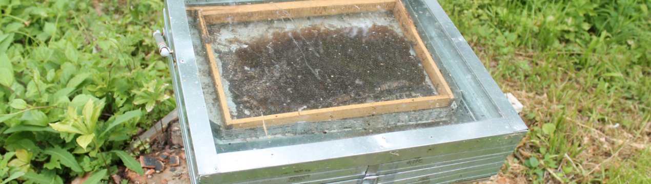 Особливості конструкції воскотопки в домашніх умовах