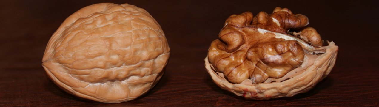 Українські горіхи активно підкорюють світ