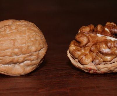 Українські горіхи активно підкорюють світ