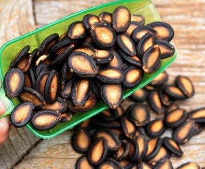 Олія насіння кавуна: користь і шкода, як приймати