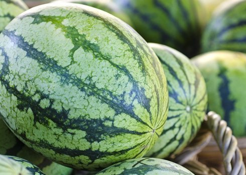 Сколько можно и как правильно хранить арбуз в домашних условиях