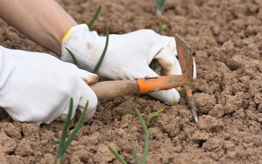 Розпушування грунту Розпушування грунту