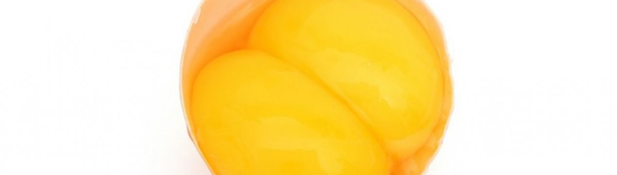 Почему курица сносит двухжелтковые яйца?