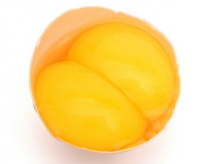 Чому курка зносить двухжелтковые яйця?