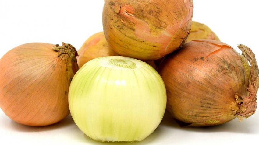 Цибулю Сеншуй Цибулю Сеншуй