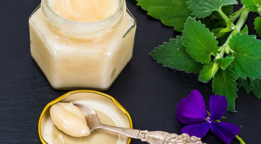 Властивості бавовняного меду