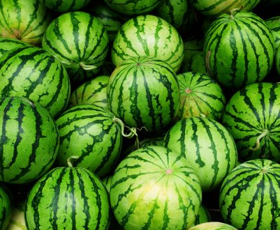 Особливості вирощування кавунів будинку