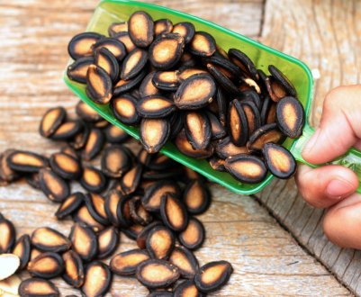 Чим корисні насіння кавуна?