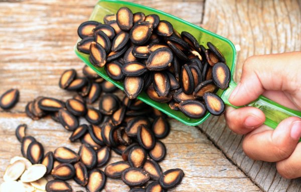 Семена арбуза польза и вред для здоровья