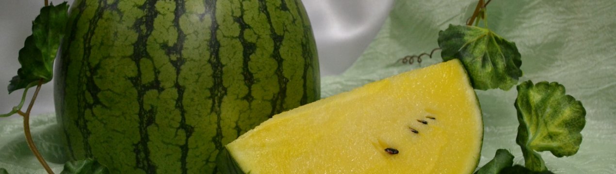 Желтый арбуз гибрид с чем. Смотреть фото Желтый арбуз гибрид с чем. Смотреть картинку Желтый арбуз гибрид с чем. Картинка про Желтый арбуз гибрид с чем. Фото Желтый арбуз гибрид с чем