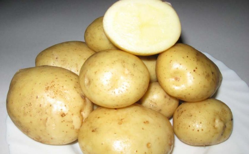 Фреске Фреске