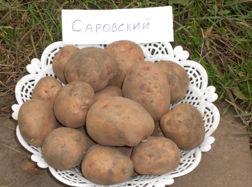 Саровский Саровский