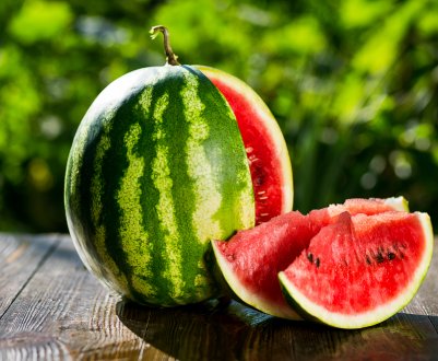 Кавун Холодок: опис, особливості вирощування та догляду