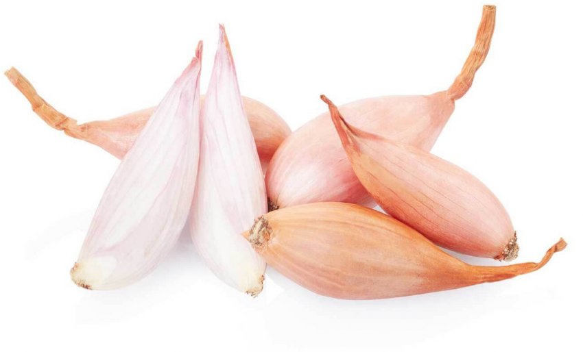 Цибулю-шалот Каскад