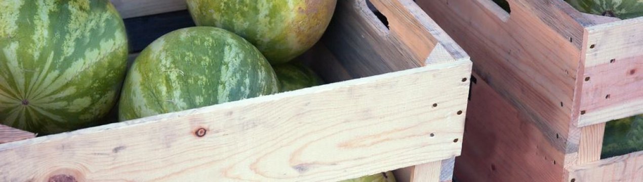 Особливості зберігання кавунів в домашніх умовах на зиму