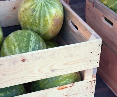 Особливості зберігання кавунів в домашніх умовах на зиму