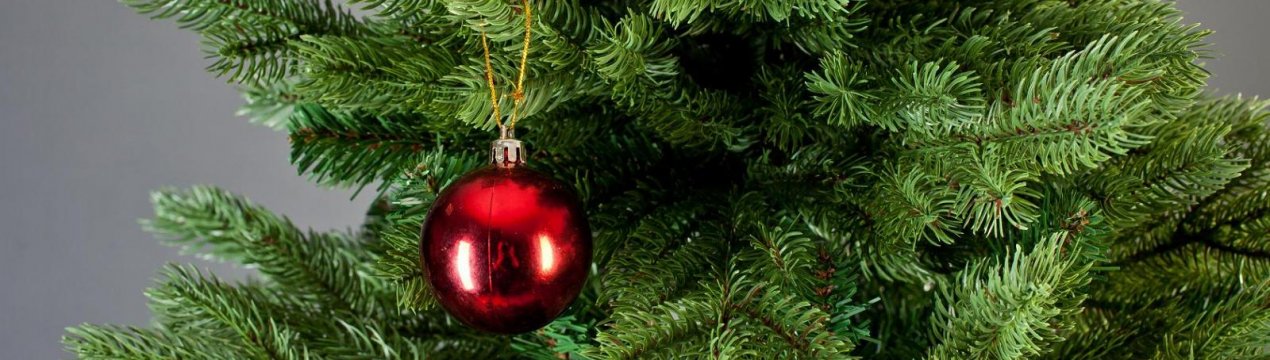 Новорічну ялинку можна перетворити в «їдальню» для кіз та птахів